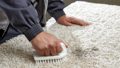 Professional Rug Cleaning Avalon
