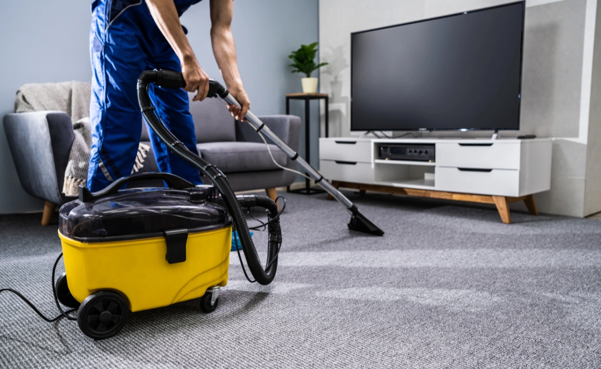 Extract Rug Cleaning Avalon Contact Office